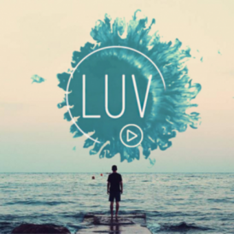 LUV [lu:f] – dem Wind zugewandt