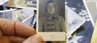 Familiengeschichte(n) - Meine Ahnen - Wurzeln aus denen ich wachse